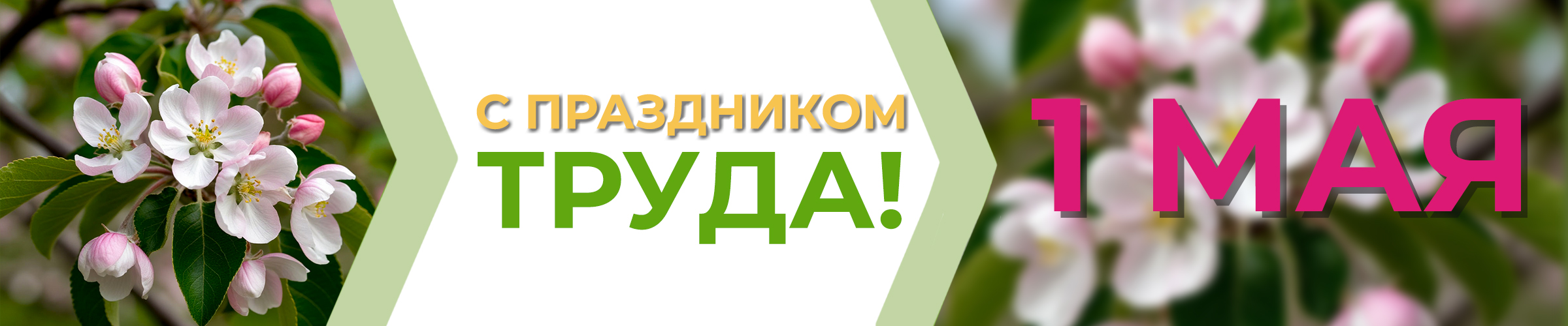 1 may